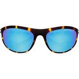 Tortoise/Blue Mirror