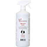 Spray Bottle