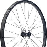 Black, Rear