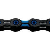 Black/Blue