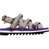 Brown/Purple