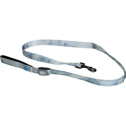 x Petco The LED Lead