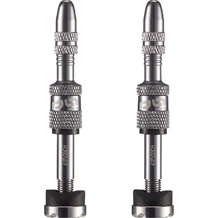 Quick Fill Plasma Tubeless Valves