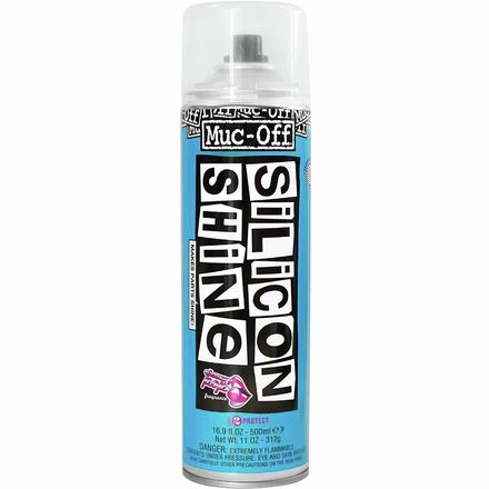 Silicon Shine