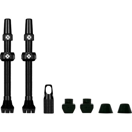 V2 Tubeless Valve Kit