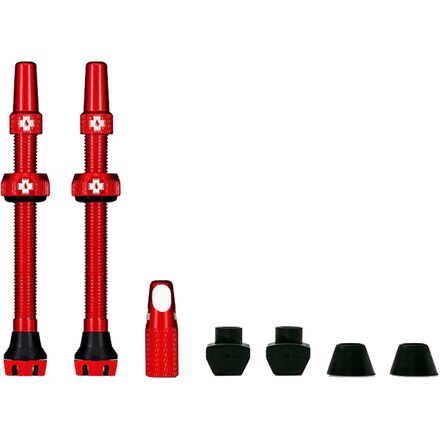 V2 Tubeless Valve Kit