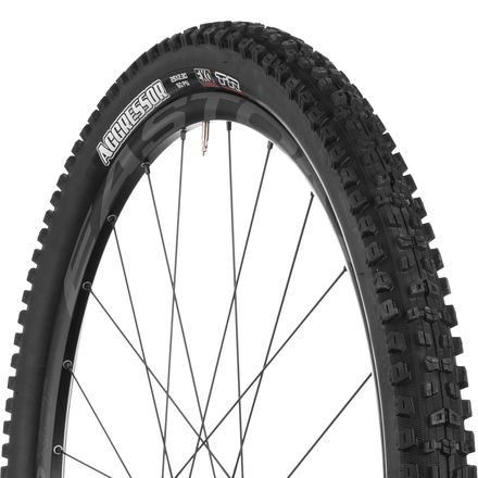 Aggressor EXO/TR 29in Tire