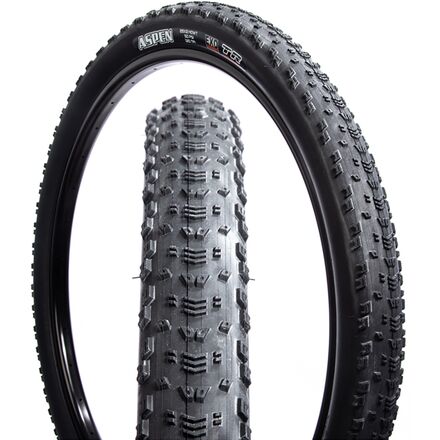 Aspen Dual Compound/EXO/TR 29in Tire