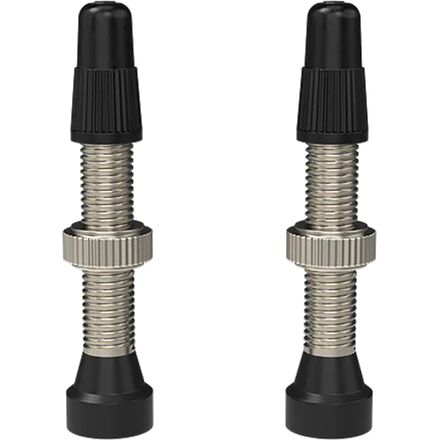 WTB - TCS Standard Presta Valve - Tan