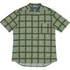 Cypress Green Vibes