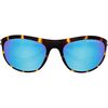 Tortoise/Blue Mirror
