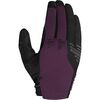 Urchin Purple