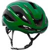 Beetle Green