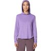 Harbor Violet