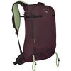 Elderberry Purple/Peppermint Green