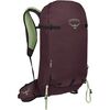 Elderberry Purple/Peppermint Green