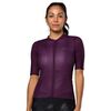 Dark Violet