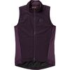 Dark Violet