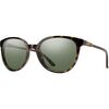 Apline Tortoise/ChromaPop Polar Gray Geen