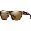 Tortoise/ChromaPop Polarized Brown