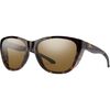 Tortoise/ChromaPop Glass Polar Brown