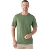 Fern Green