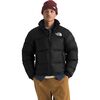 TNF Black/NPF/Recycled Down