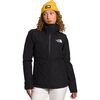 TNF Black/NPF
