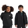 TNF Black